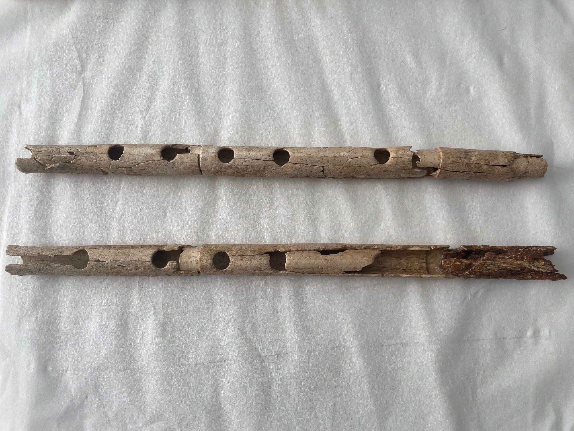 Akanthos Aulos Deer Bone