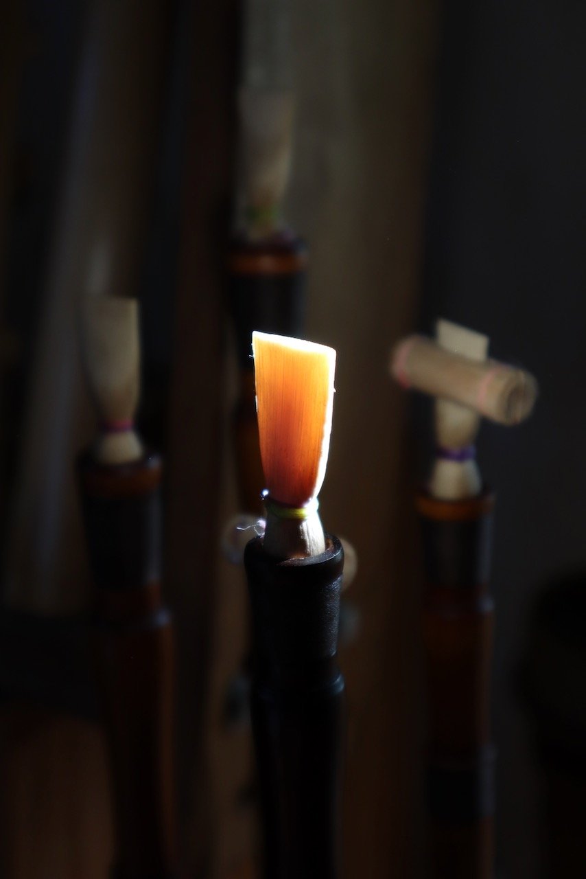 Aulos double reed in the light
