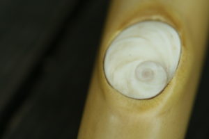 spiral shell inlay